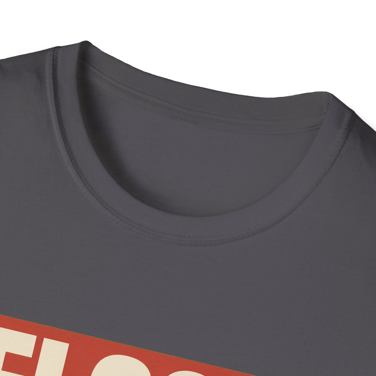Flock Around And Find Out - Funny Anti-Surveillance Protest Tee