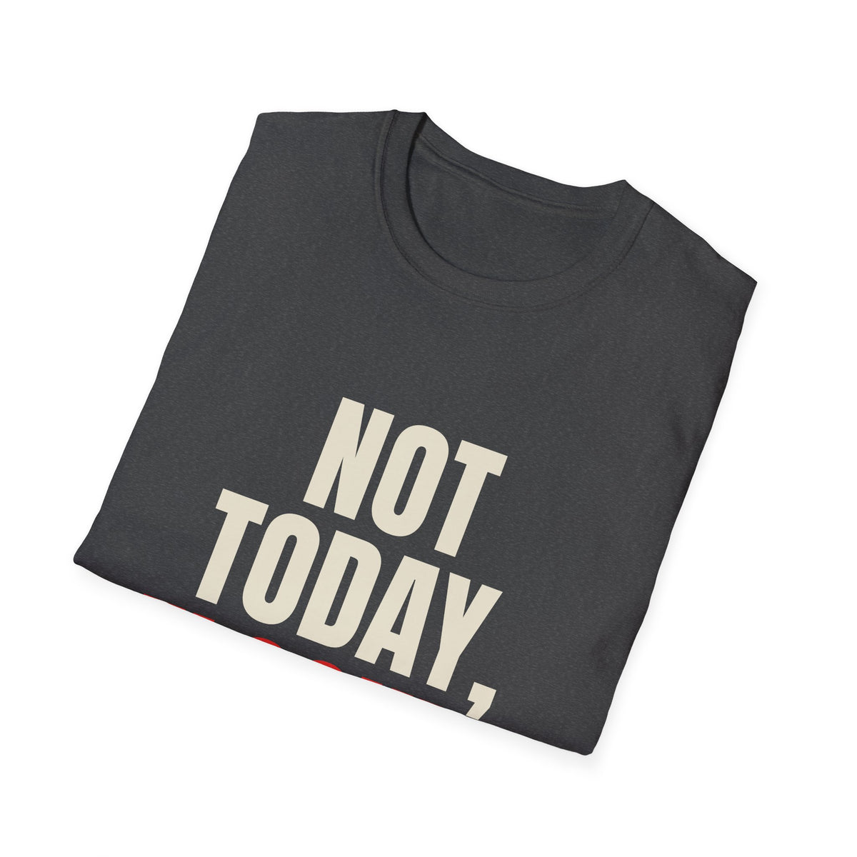 Not Today Flocker - Funny Anti-Surveillance T-Shirt