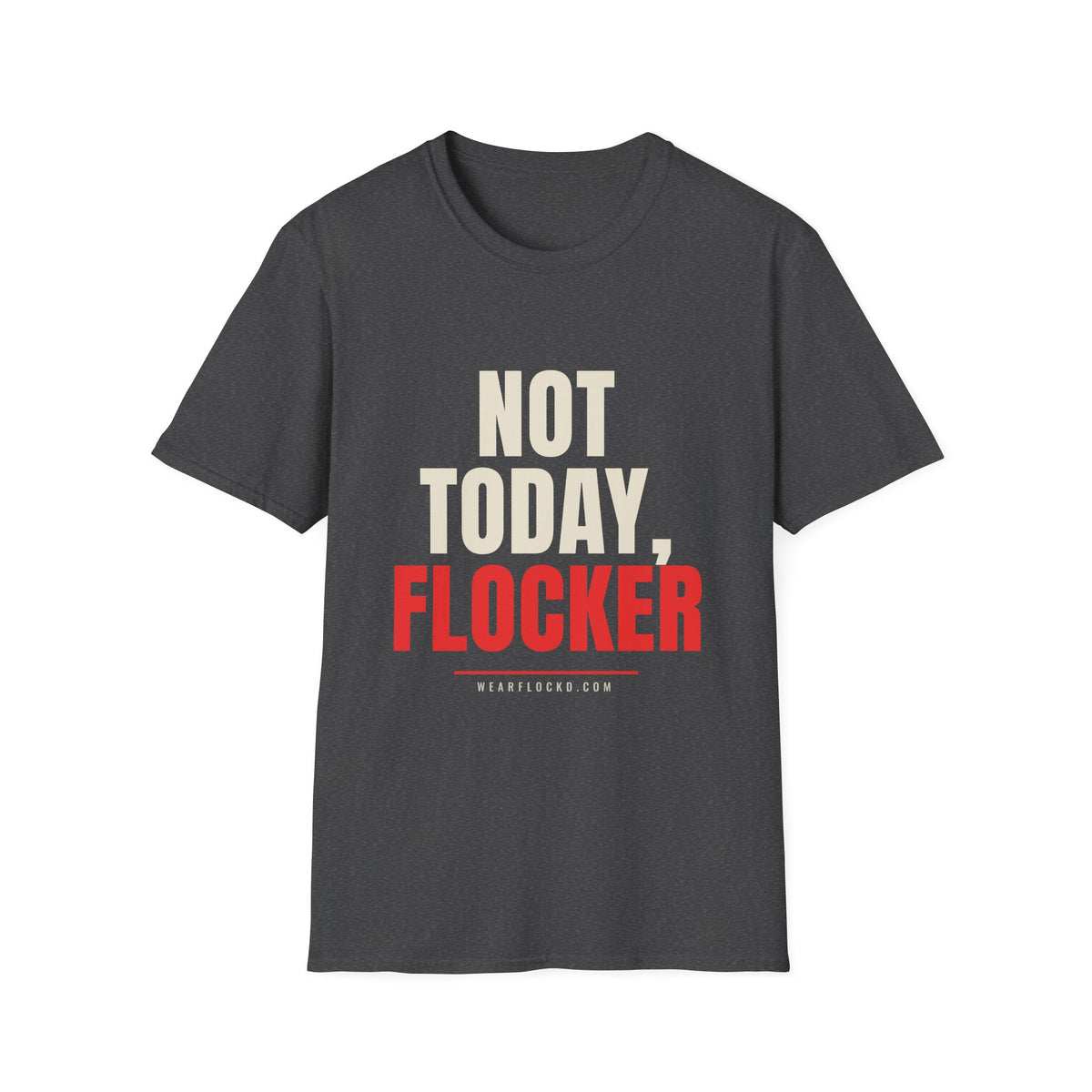 Not Today Flocker - Funny Anti-Surveillance T-Shirt