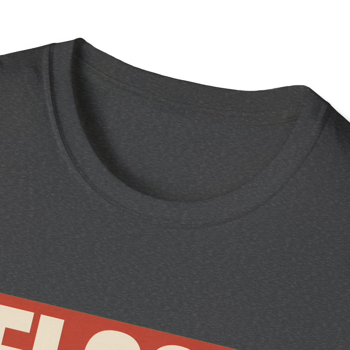 Flock Around And Find Out - Funny Anti-Surveillance Protest Tee