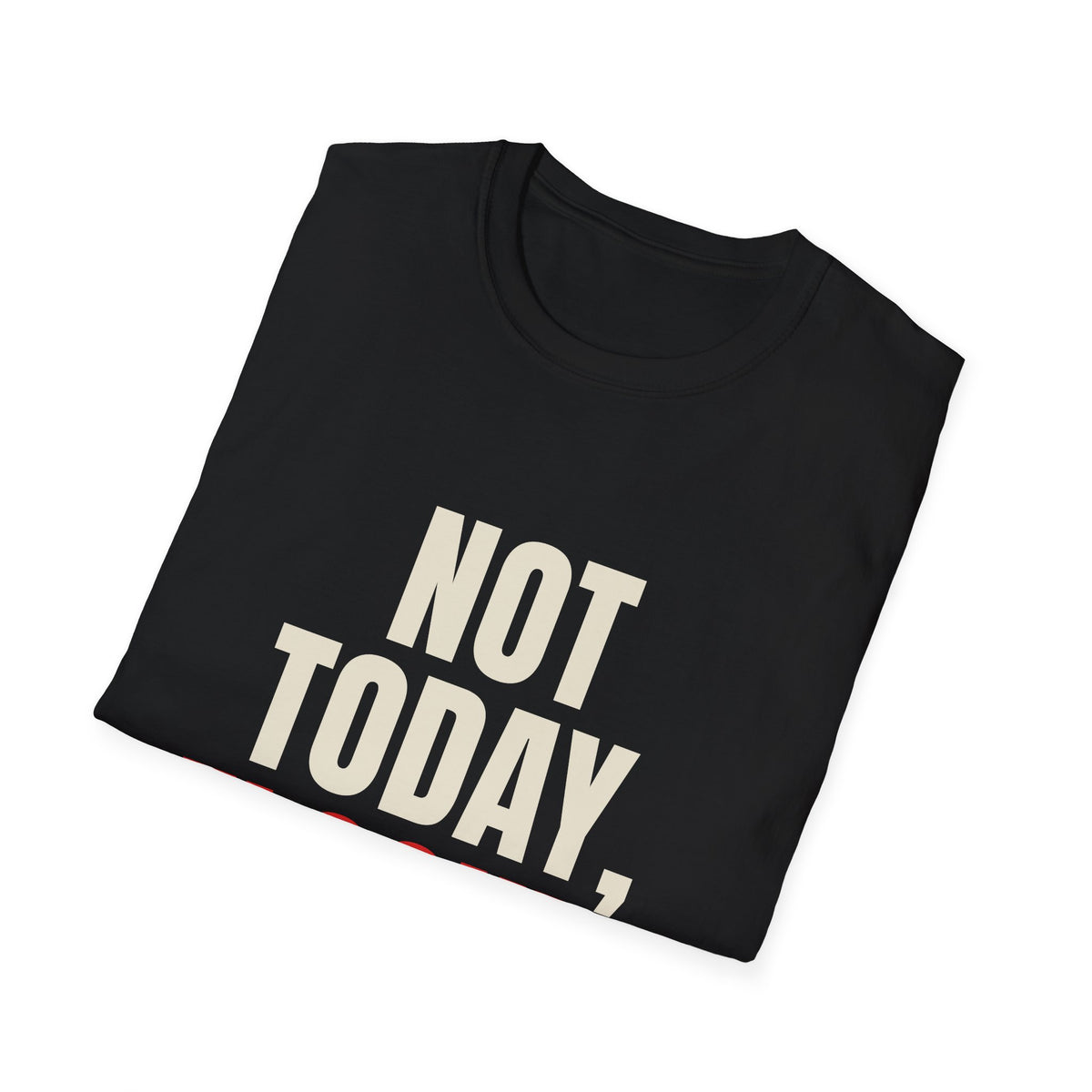 Not Today Flocker - Funny Anti-Surveillance T-Shirt