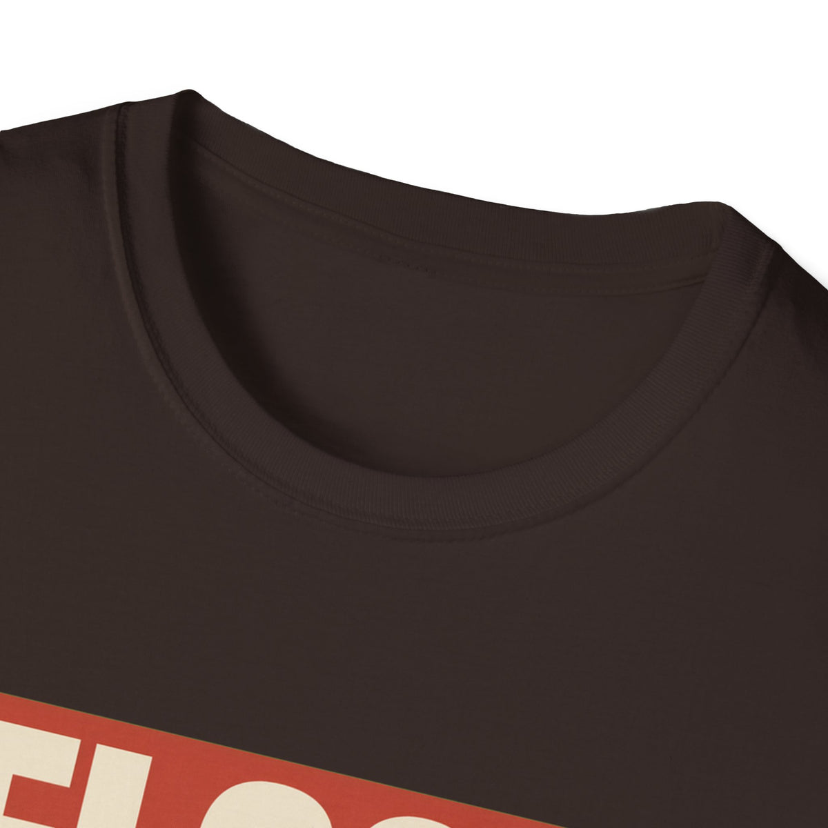 Flock Around And Find Out - Funny Anti-Surveillance Protest Tee