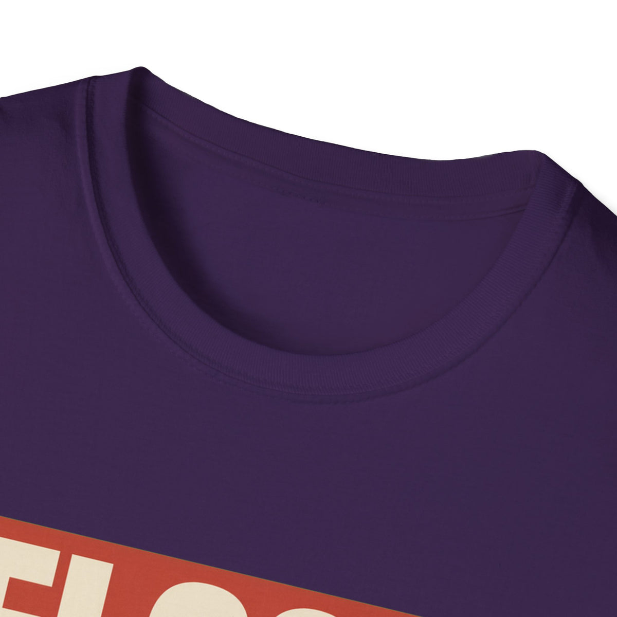 Flock Around And Find Out - Funny Anti-Surveillance Protest Tee