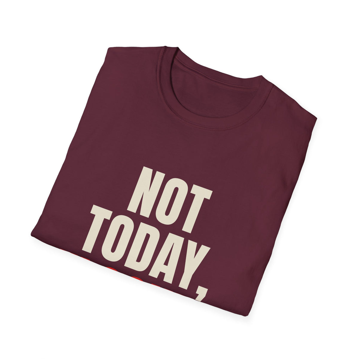 Not Today Flocker - Funny Anti-Surveillance T-Shirt