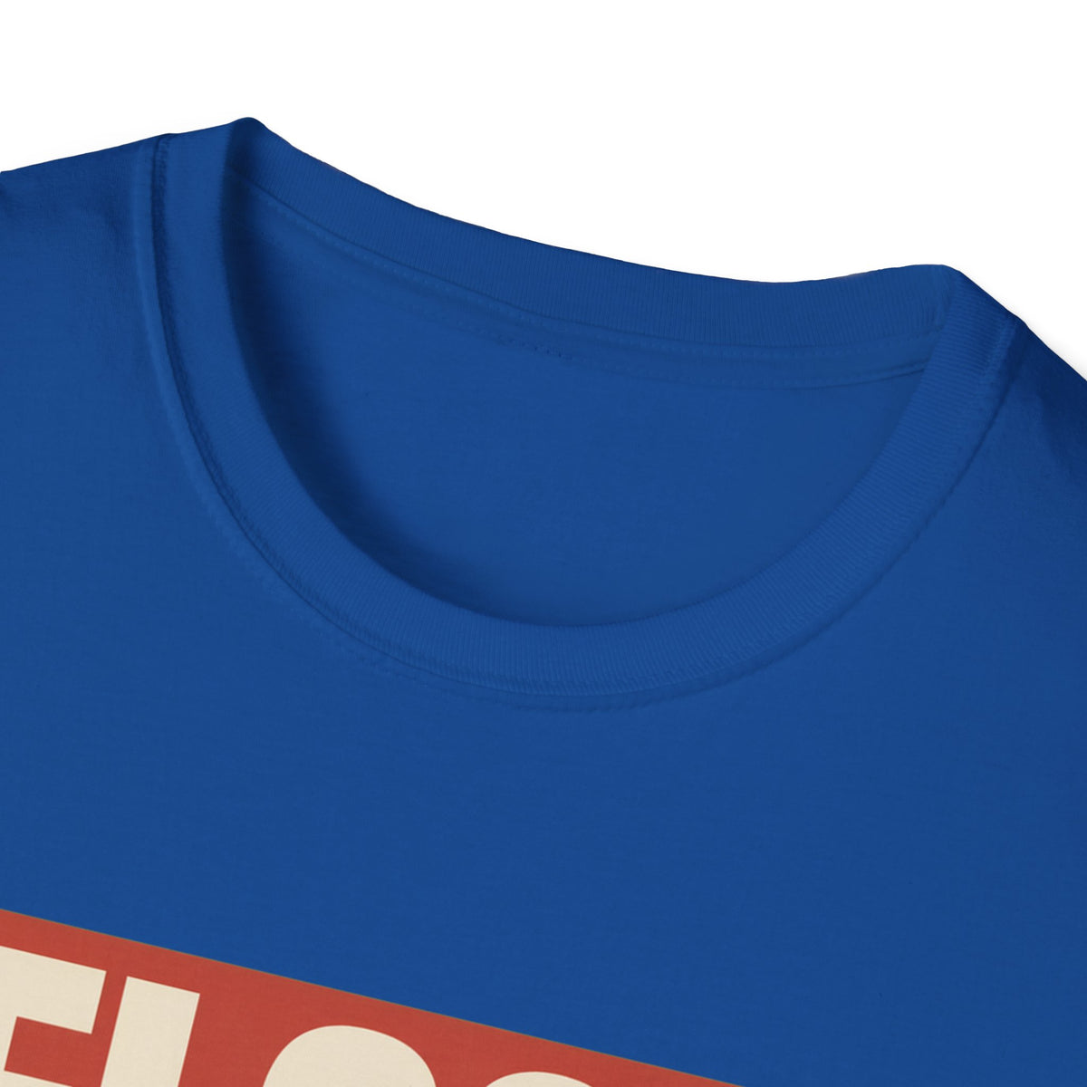 Flock Around And Find Out - Funny Anti-Surveillance Protest Tee